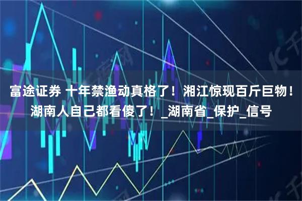 富途证券 十年禁渔动真格了！湘江惊现百斤巨物！湖南人自己都看傻了！_湖南省_保护_信号