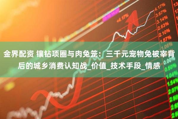 金界配资 镶钻项圈与肉兔笼：三千元宠物兔被宰背后的城乡消费认知战_价值_技术手段_情感